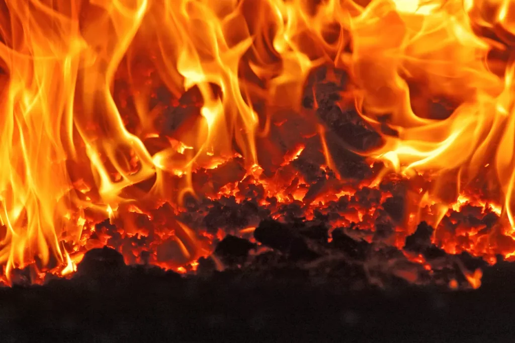 Big breaking: কলকাতার ফল বাজারে ভয়াবহ অগ্নিকাণ্ড