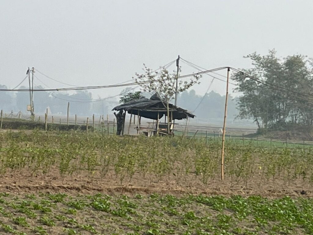 India–Bangladesh Border: কুয়াশায় ঢাকা আন্তর্জাতিক সীমান্ত, বেরুবাড়ির সিং পাড়ায় আতঙ্কই স্থায়ী ঠিকানা